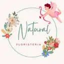 Natural  Floristería 