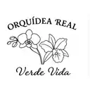 Orquídea Real