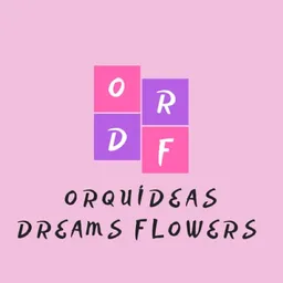 Orquideas Dreams Flowers con Servicio a Domicilio