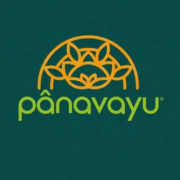 Panavayu Gran Estación con Servicio a Domicilio