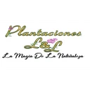 Plantaciones L Y L C.C Santa Ana