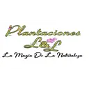 Plantaciones L Y L C.C Santa Ana