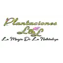 Plantaciones L Y L C.C Santa Ana