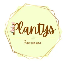 Plantys Floristería con Servicio a Domicilio
