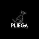 Pliega Design Express