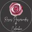 Rosas Preservadas De Colombia