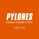 Pylones Andino