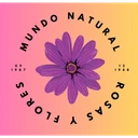 Flores Mundo Natural
