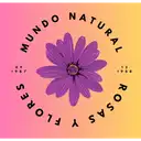 Flores Mundo Natural