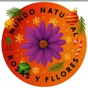 Mundo De Flores Petalovers