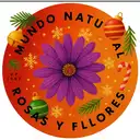 Mundo De Flores Petalovers