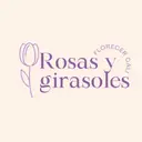 Rosas Y Girasoles Florecer Cali