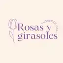 Rosas Y Girasoles Florecer Cali