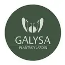 Galysa Plantas  Jardin