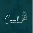 Camelias Floristería Modelia