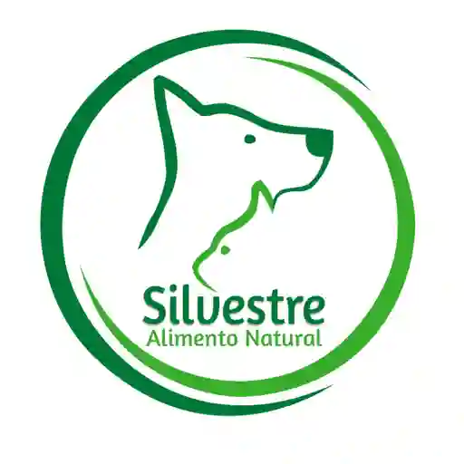 Silvestre Pet: Sur