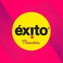 Éxito Mascotas