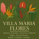 Villa Maria