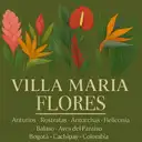 Villa Maria