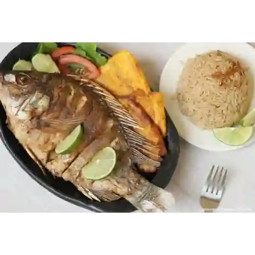 Mojarra Negra