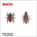 Raid Insecticida Mata Pulgas