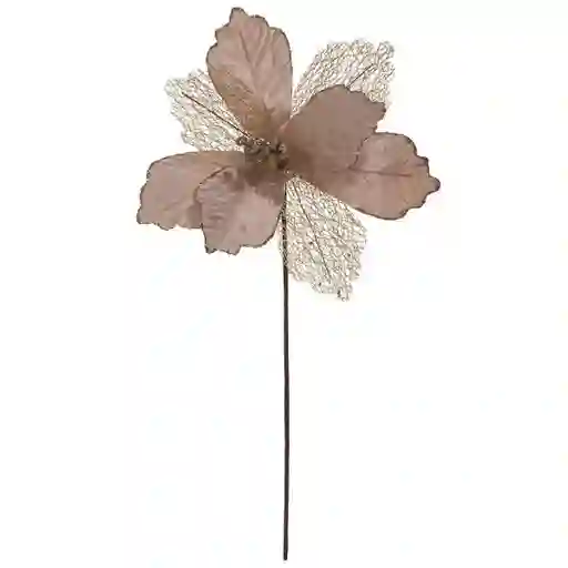 Flor Ponsetia Champana 8P 27 cm 831-Amx006-2402N Finlandek