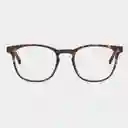 Barner Gafas Reading Dalston Carey + 1.50