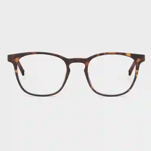 Barner Gafas Reading Dalston Carey + 1.50