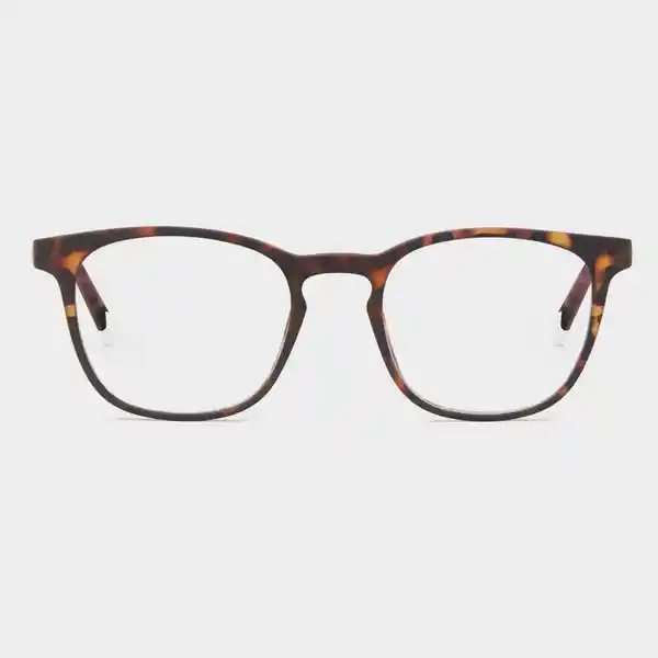 Barner Gafas Reading Dalston Carey + 1.50