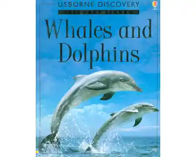 Whales And Dolphins - VV.AA