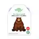 Flash Cards Animales Salvajes