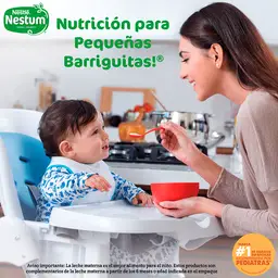 Nestum Cereal Infantil Trigo Miel