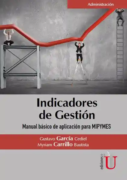 Indicadores de Gestión. Manual Básicco Aplicación Para Mipymes