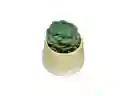 Maceta Cactus Dúo Amarillo Casaideas