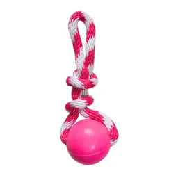 Clark Juguete Perro Rosado 53155