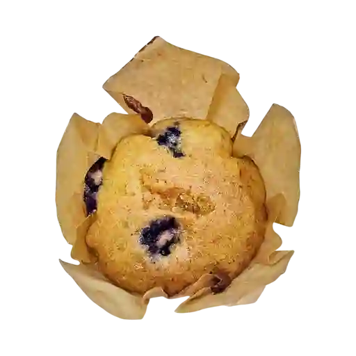 Blueberry muffin