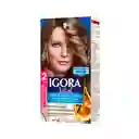 Tinte Igora Vital 7-00 Rubio Mediano