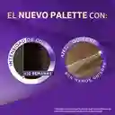 Palette Tinte Intensive Color Creme Rubí 6-88 100 mL