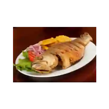 Corvina Frita