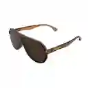 Gafas Para Hombre Color Marrón X17176 Steve Madden