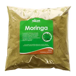 Prodelagro Moringa