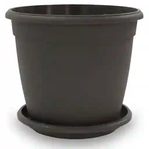 Nativa Matera Génova Wengue Con Plato 22 cm x 19 cm