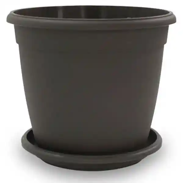 Nativa Matera Génova Wengue Con Plato 22 cm x 19 cm
