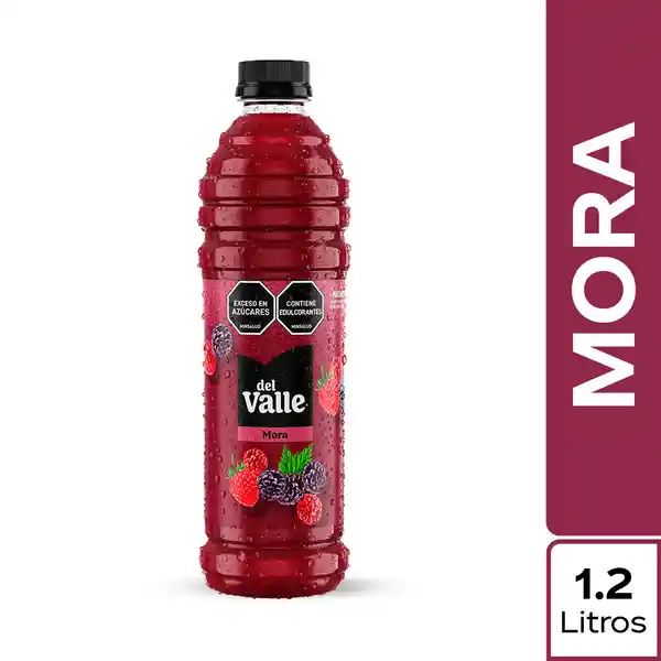 Del Valle Jugo Frutal Mora 1.2 L