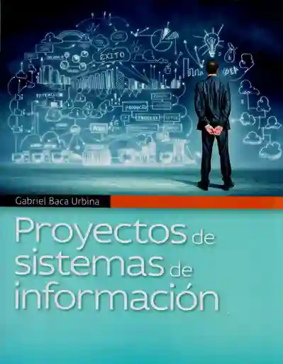 Proyectos de Sistemas de Información