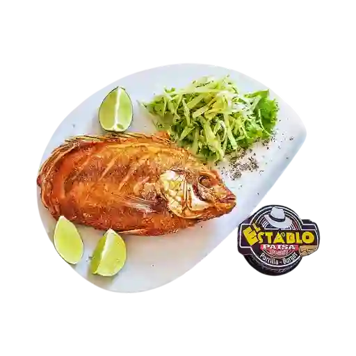 Mojarra
