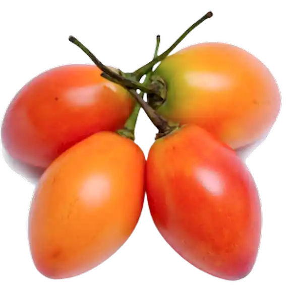 Tomate de Árbol Rojo