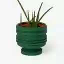 Areaware Matera Strata Plantas Verde