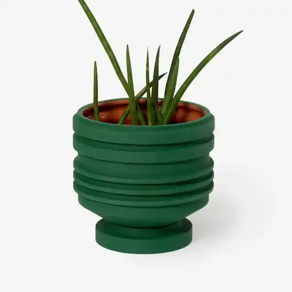 Areaware Matera Strata Plantas Verde