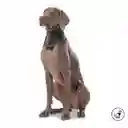 Pañuelo Menta Doble Faz 2.0 Verde Talla L 3DL Totto